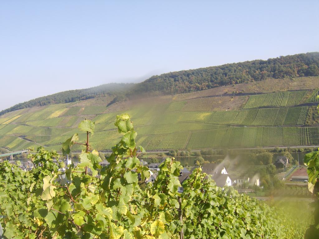 Weingut Matthias Dauns Lejlighed Reil Eksteriør billede