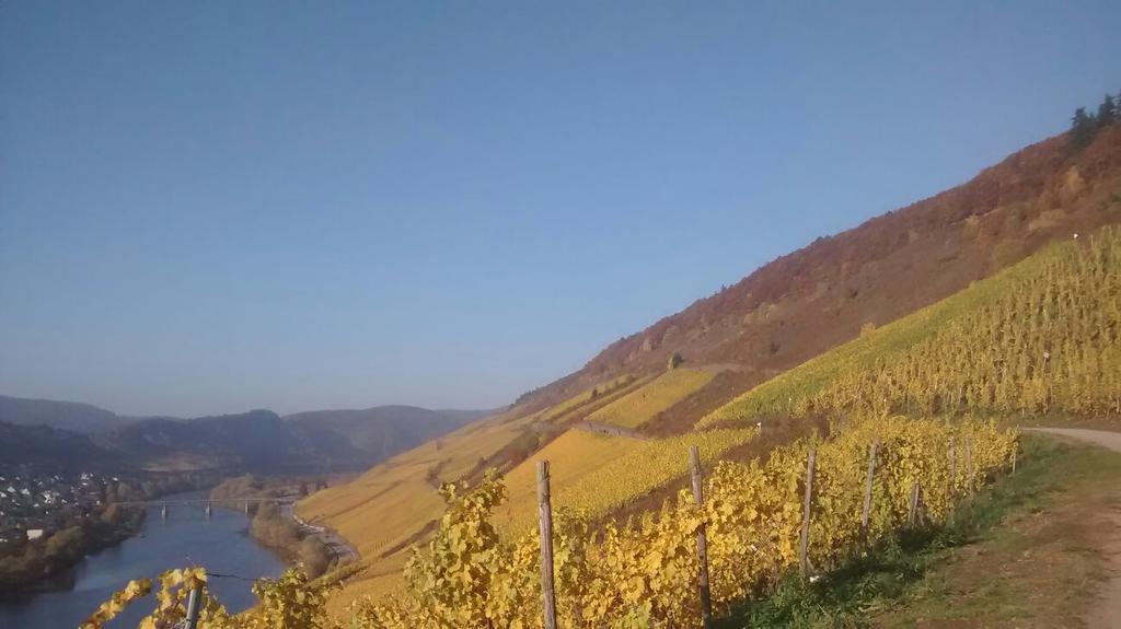 Weingut Matthias Dauns Lejlighed Reil Eksteriør billede