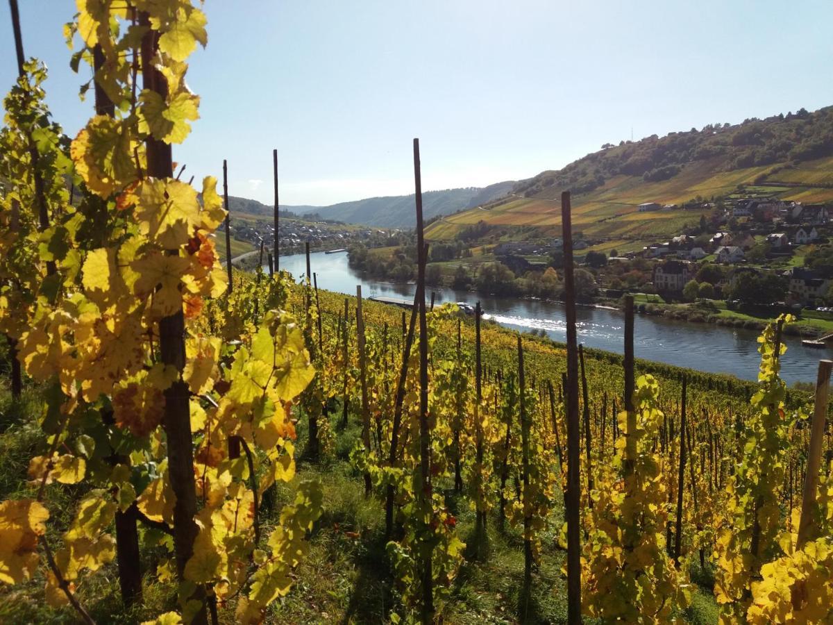 Weingut Matthias Dauns Lejlighed Reil Eksteriør billede